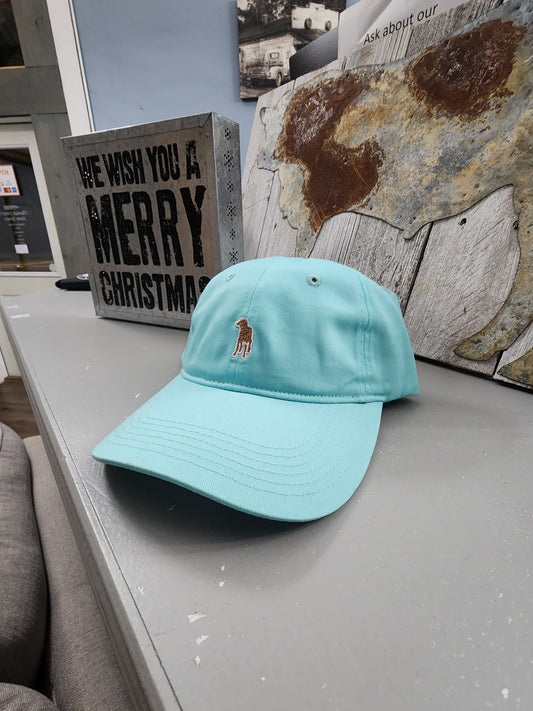 Men's Southern Casanova Dad Hat-Seafoam