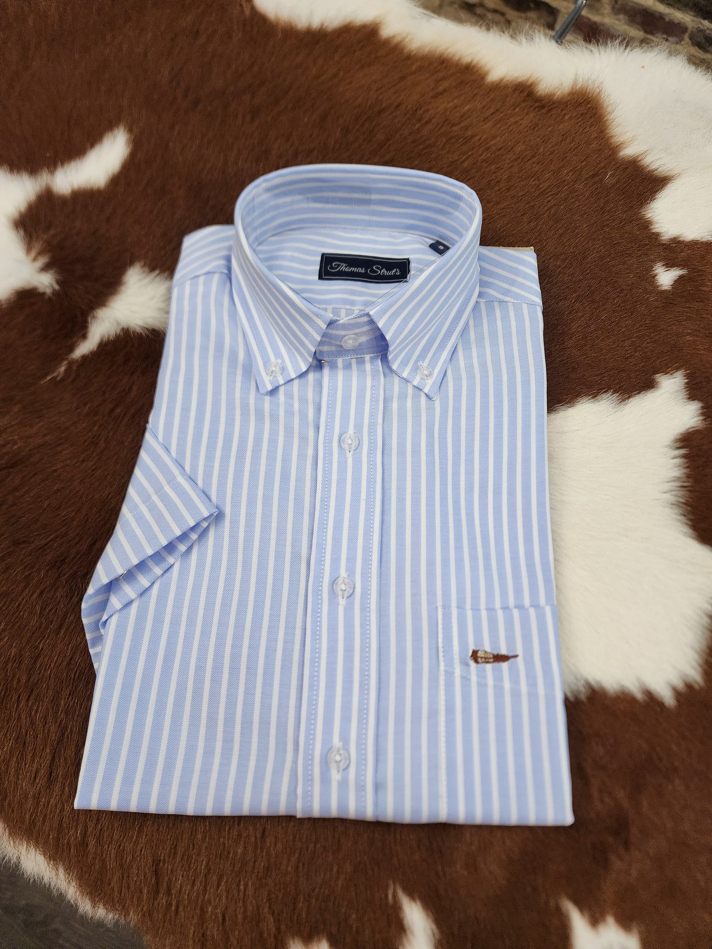 Men's Thomas Strut's Apparel Co. S/S Button Down-Blue Oxford Stripe