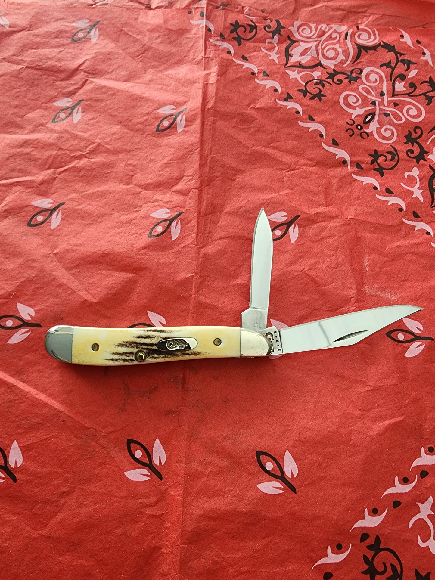 2010 Case Stag Peanut