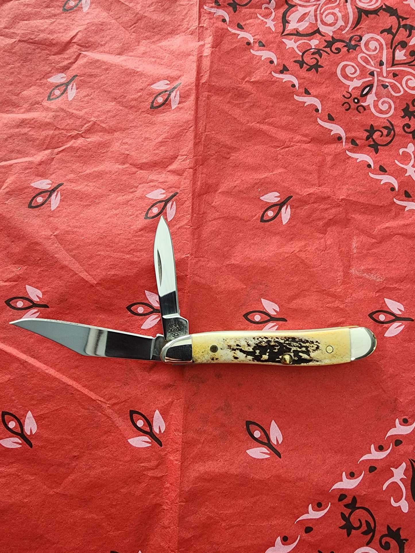 2010 Case Stag Peanut