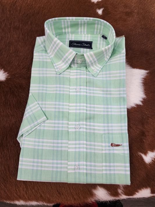 Men's Thomas Strut's Apparel Co. S/S Button Down-Green Stripe