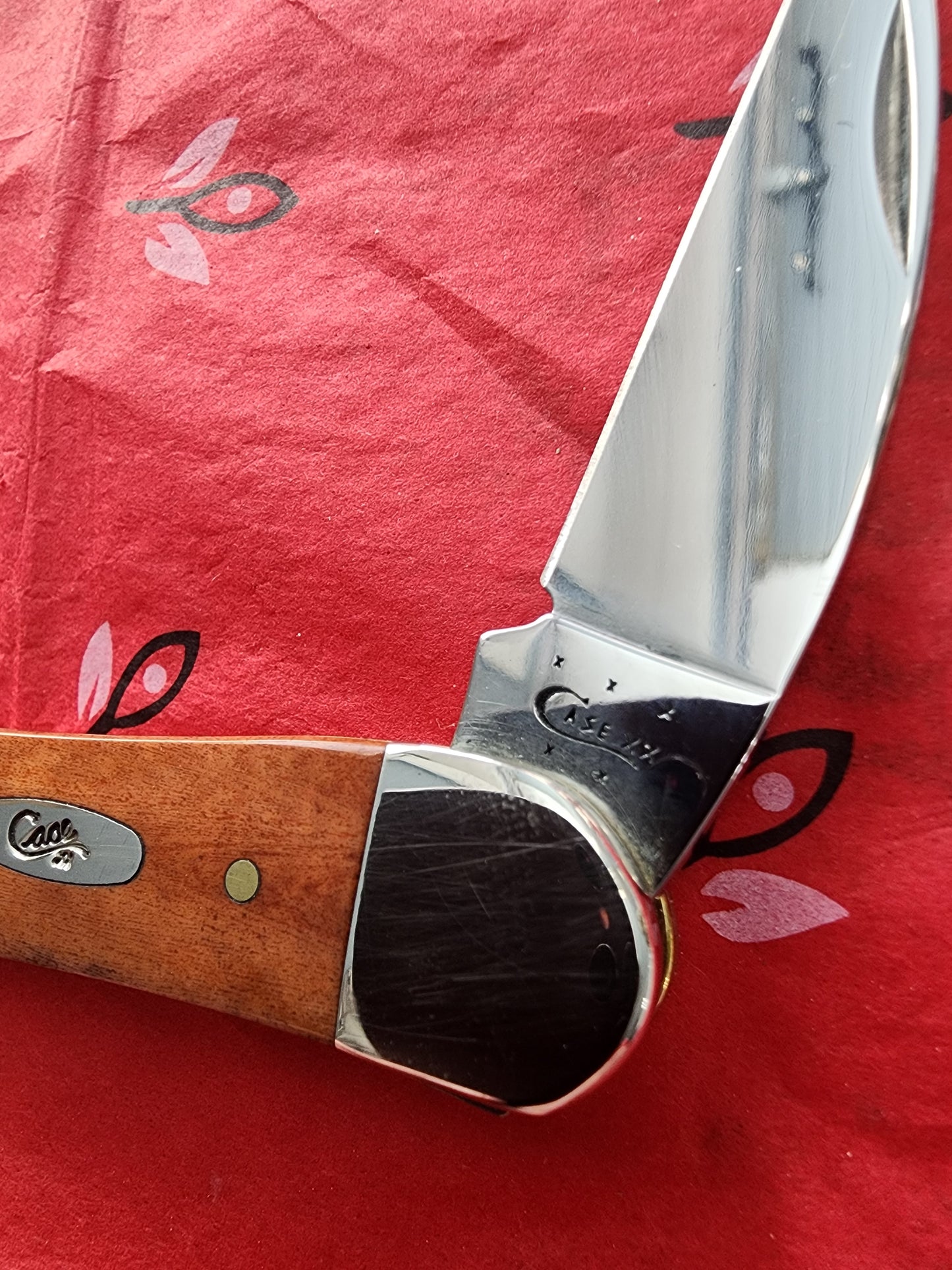2015 Case Smooth Chestnut Seahorse Whittler