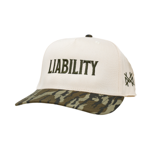 Liability