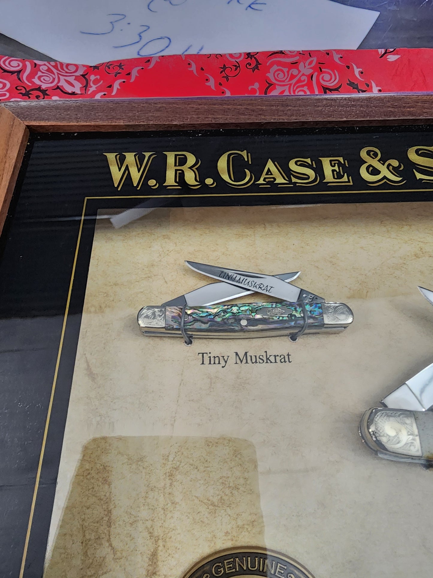2007 Case Muskrat Commemorative Set 1 of 500 MINT