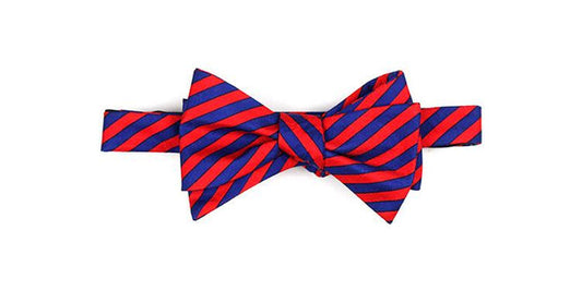 Men's Properly Tied Bowtie- Navy/Red